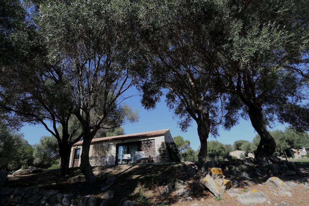 Maison d'hôtes Liscia Country Relais à Sant'Antonio di Gallura Extérieur photo