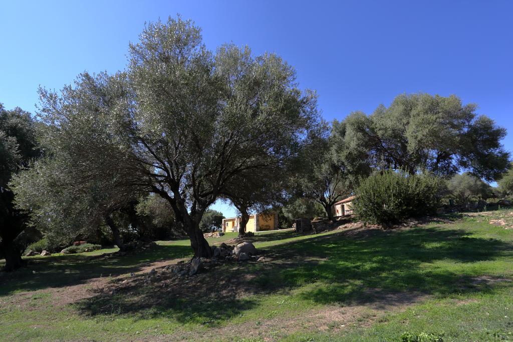 Maison d'hôtes Liscia Country Relais à Sant'Antonio di Gallura Extérieur photo