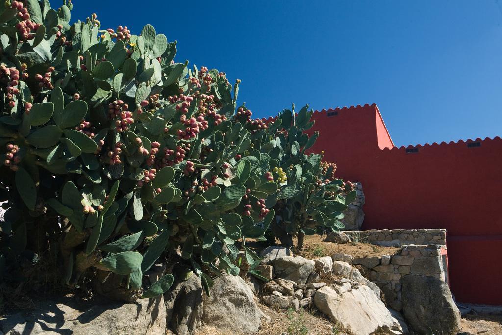 Maison d'hôtes Liscia Country Relais à Sant'Antonio di Gallura Extérieur photo