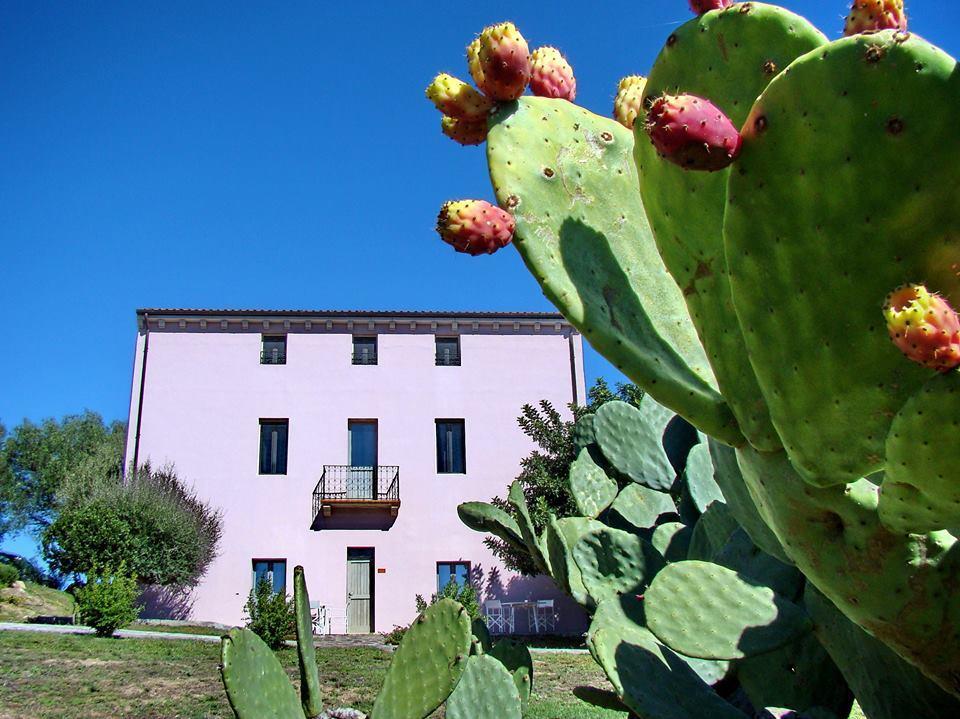 Maison d'hôtes Liscia Country Relais à Sant'Antonio di Gallura Extérieur photo