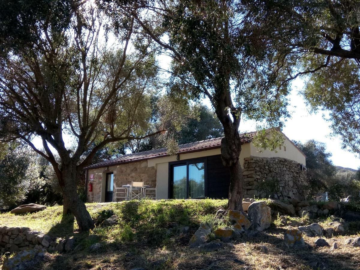Maison d'hôtes Liscia Country Relais à Sant'Antonio di Gallura Extérieur photo